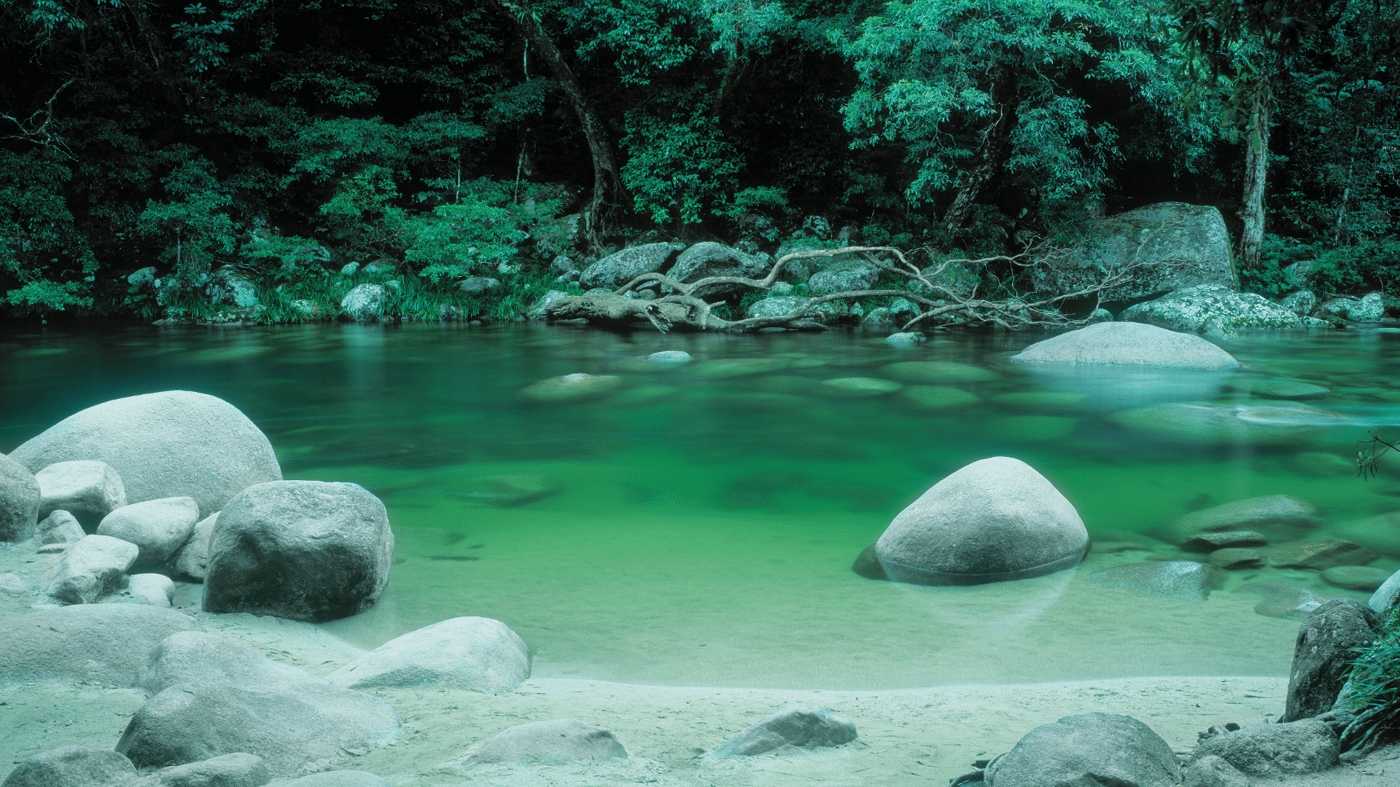 The Daintree