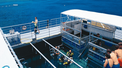 Snorkelling platform, Agincourt Reef