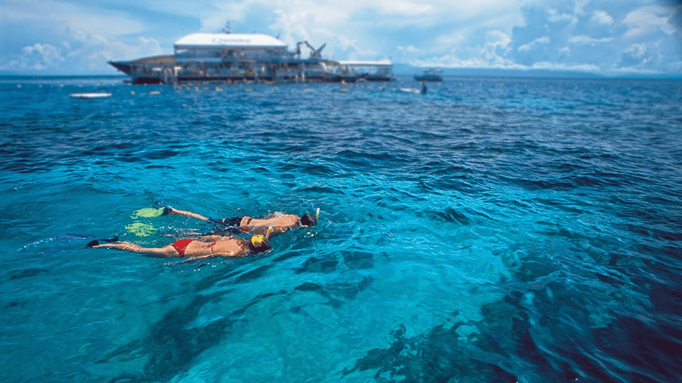 Snorkelling, Outer Barrier Reef cruise