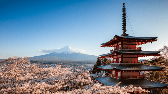 Immersive Japanese Rail Adventure & Princess Cruise