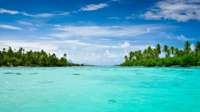 South Pacific Discovery: Fiji & New Zealand