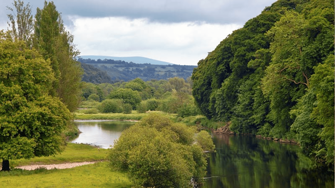 Waterford