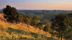 Scenery along the way