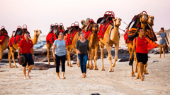 Camel rides, Cable Beach, Broome