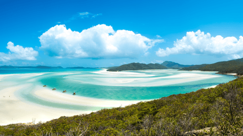 You will have the chance to visit beautiful Whitehaven Beach on a shore excursion 