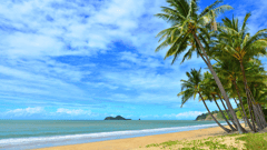 Tropical Cairns