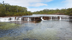 Fruit Bat Falls, Cape York