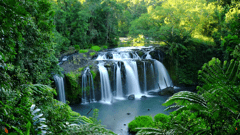 Rainforest waterfall