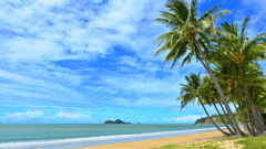 Ellis Beach, Cairns