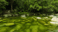 Mossman Gorge, Daintree Rainforest