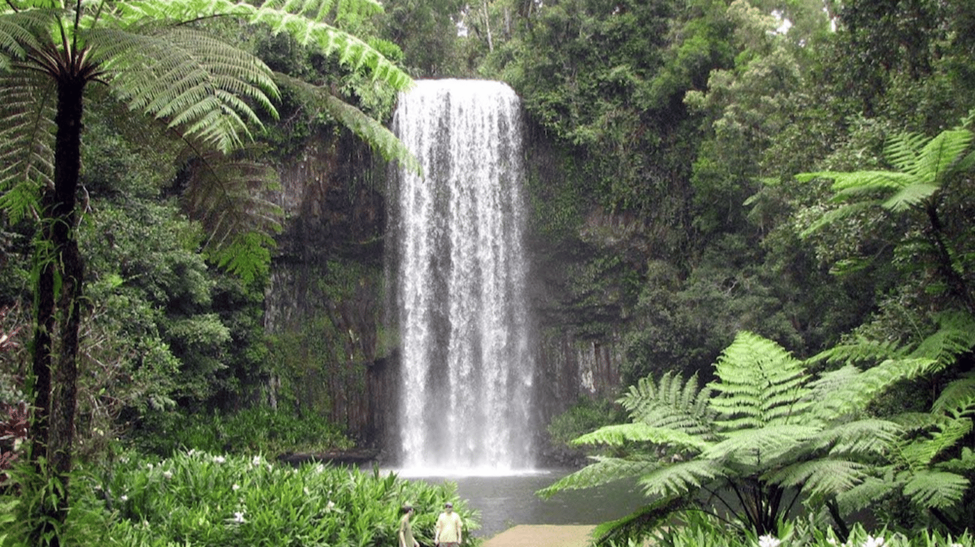 Millaa Millaa Falls, Atherton Tableland