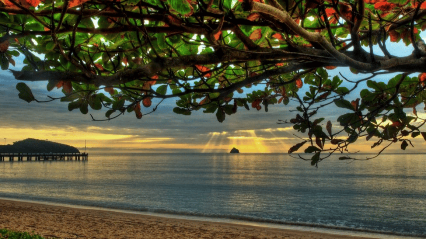 Sunrise at Palm Cove