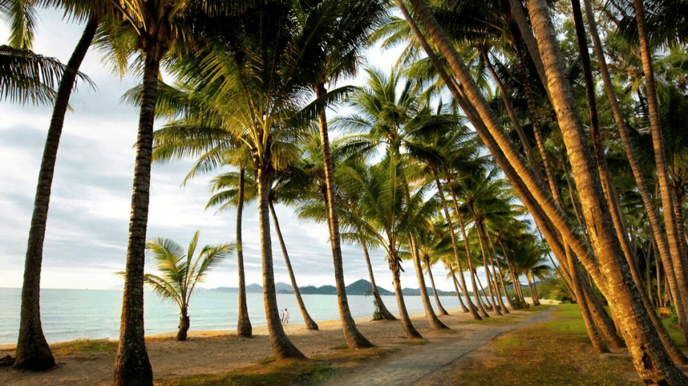 Wander along the Palm Cove beach