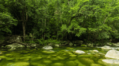Mossman Gorge, Daintree National Park