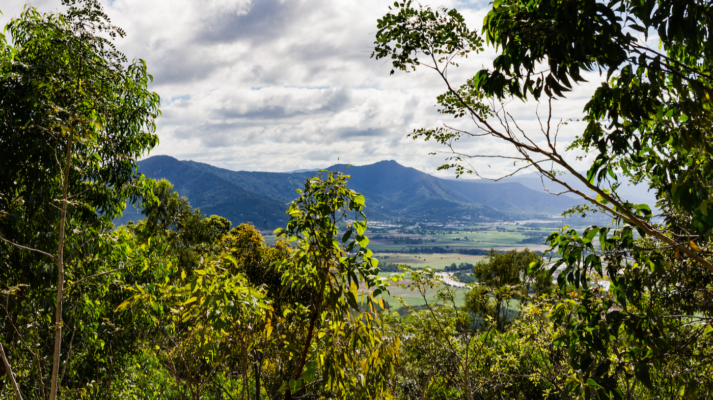 Mt Whitfield, Cairns