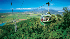 Skyrail Rainforest Cableway