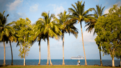 Port Douglas, Queensland