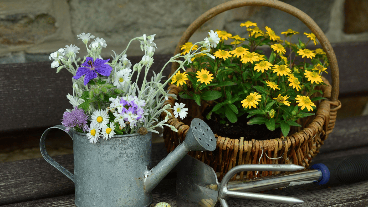 Flowers