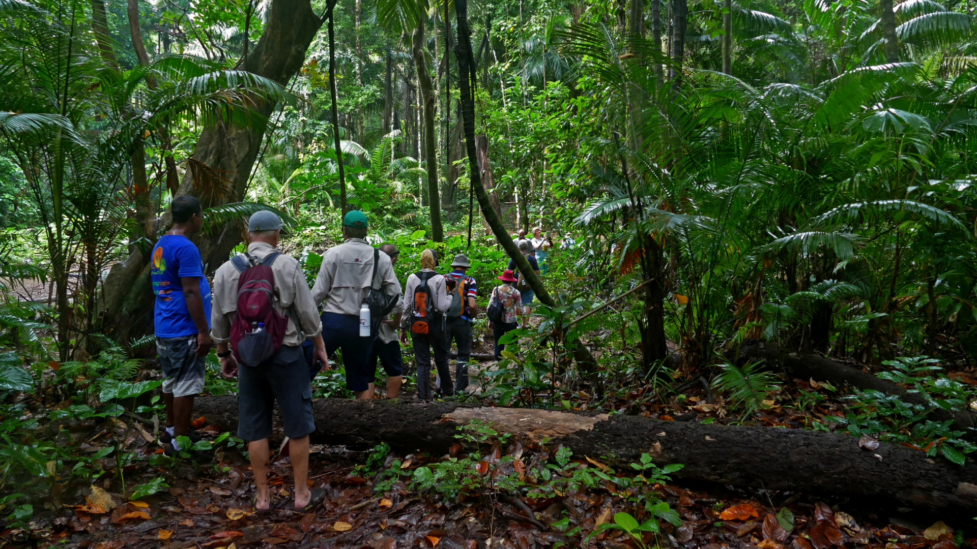 NO SOLO SUPPLEMENT! 18-night Indonesian Archipelago Expedition Cruise ...