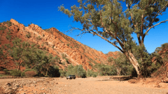 Bracchina Gorge, Flinders Ranges