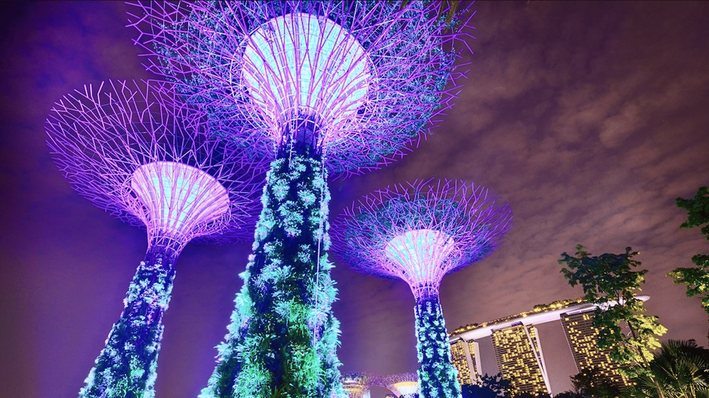 Enjoy the colourful light show at the Gardens by the Bay
