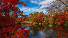 Japanese Garden