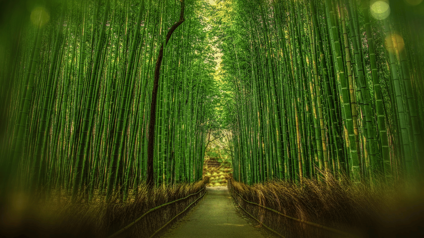 Arashiyama Bamboo Grove