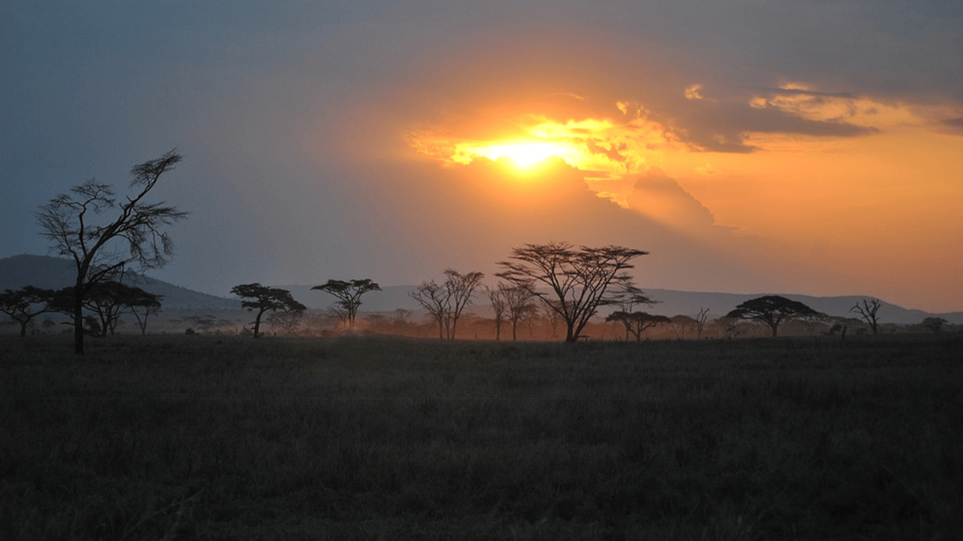 Serengeti National Park, Tanzania