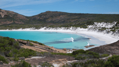 Visit stunning Lucky Bay in Cape Le Grand National Park