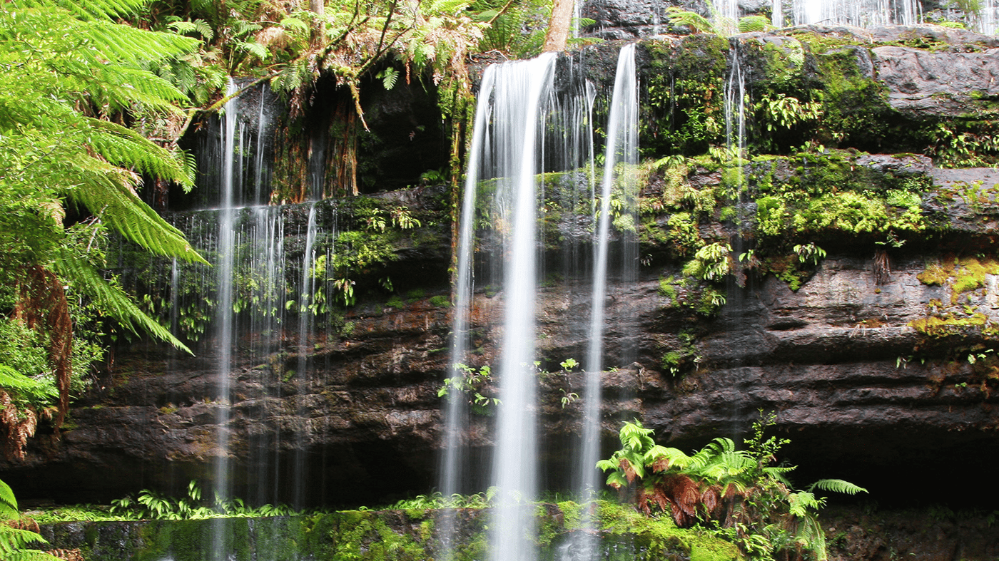 Take a walk through lush rainforest to view picturesque Russell Falls