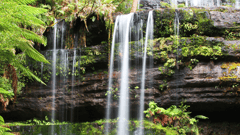 Take a walk through lush rainforest to view picturesque Russell Falls