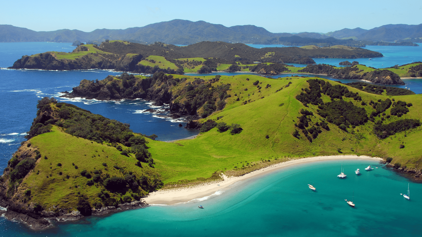 Experience the beauty of the Bay of Islands