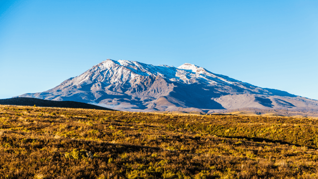 Tour New Zealand's North Island from Wellington to Auckland