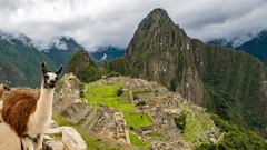 Machu Picchu