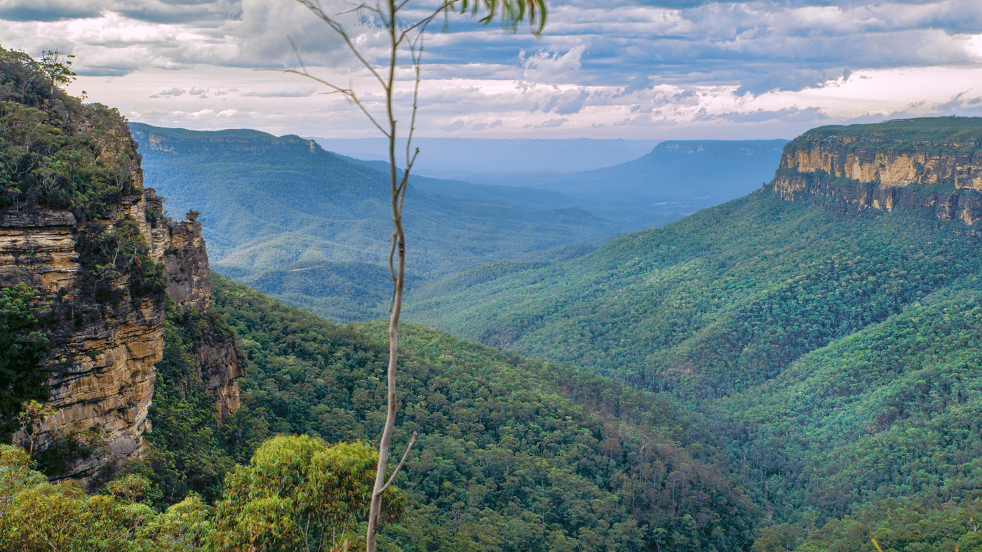 Explore the World Heritage listed Blue Mountains National Park