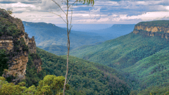 Explore the World Heritage listed Blue Mountains National Park