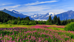Juneau, Alaska