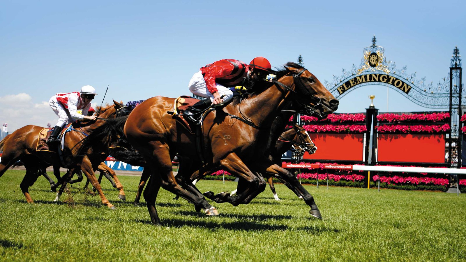 Melbourne Cup Cruise Travel at 60