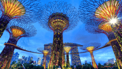 Singapore - Gardens by the Bay