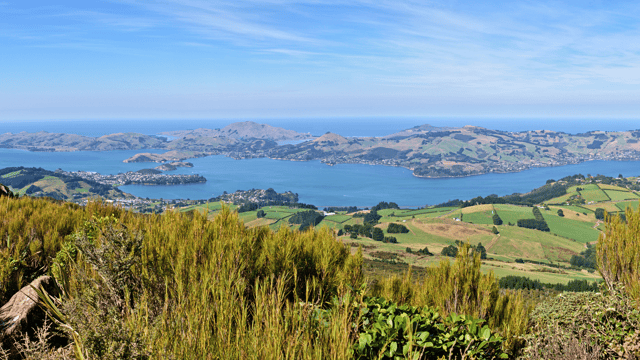 New Zealand Rail & Cruise Explorer