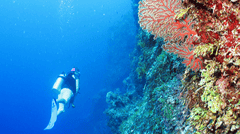 Ashmore Reef lies in the Timor Sea on the edge of the Continental Shelf