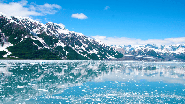 Wild Alaska Scenic Cruise