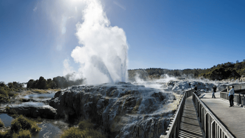 Visit the boiling mud pools and awesome geysers that Rotorua is famous for