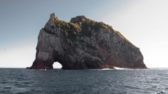  The Bay of Islands, New Zealand