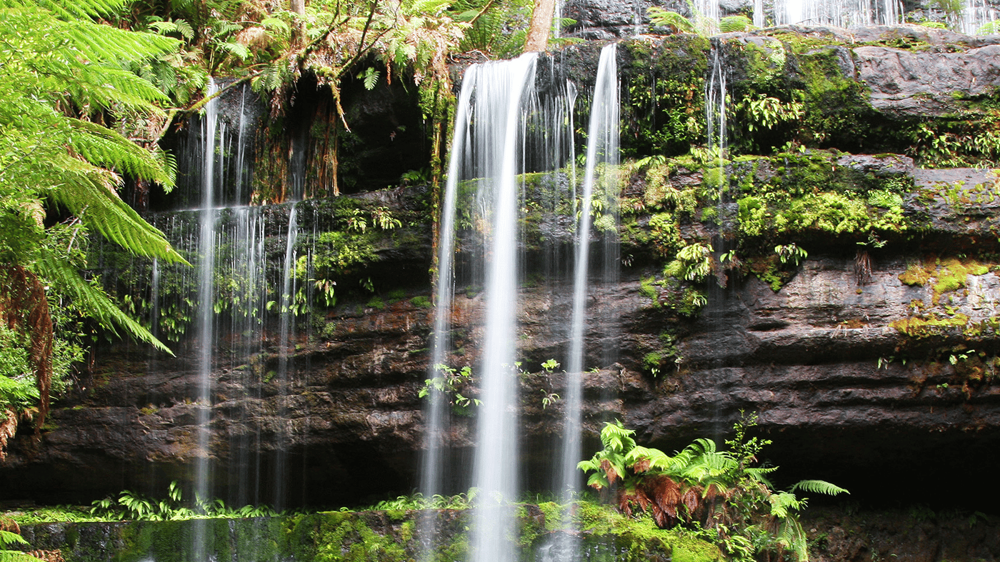 Enjoy a walk through Mt Field National Park to see Russell Falls