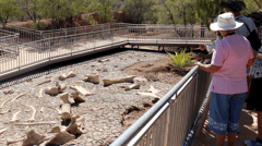 Check out the dinosaur bones at the Australian Age of Dinosaurs in Winton