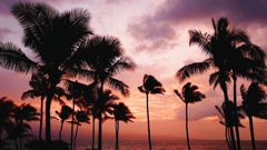 Maui