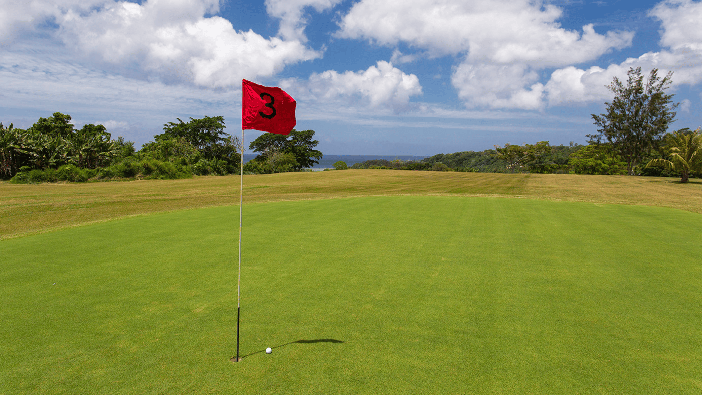 Or putt your way to happiness!