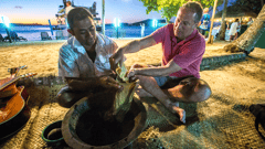 Plenty of excursions and shore activities