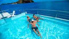 And there's more fun aboard the ship!